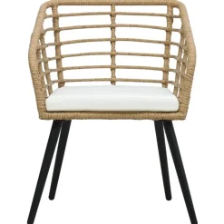 vidaXL - Tuinstoel - Bruin - Poly rattan - 2 stuks