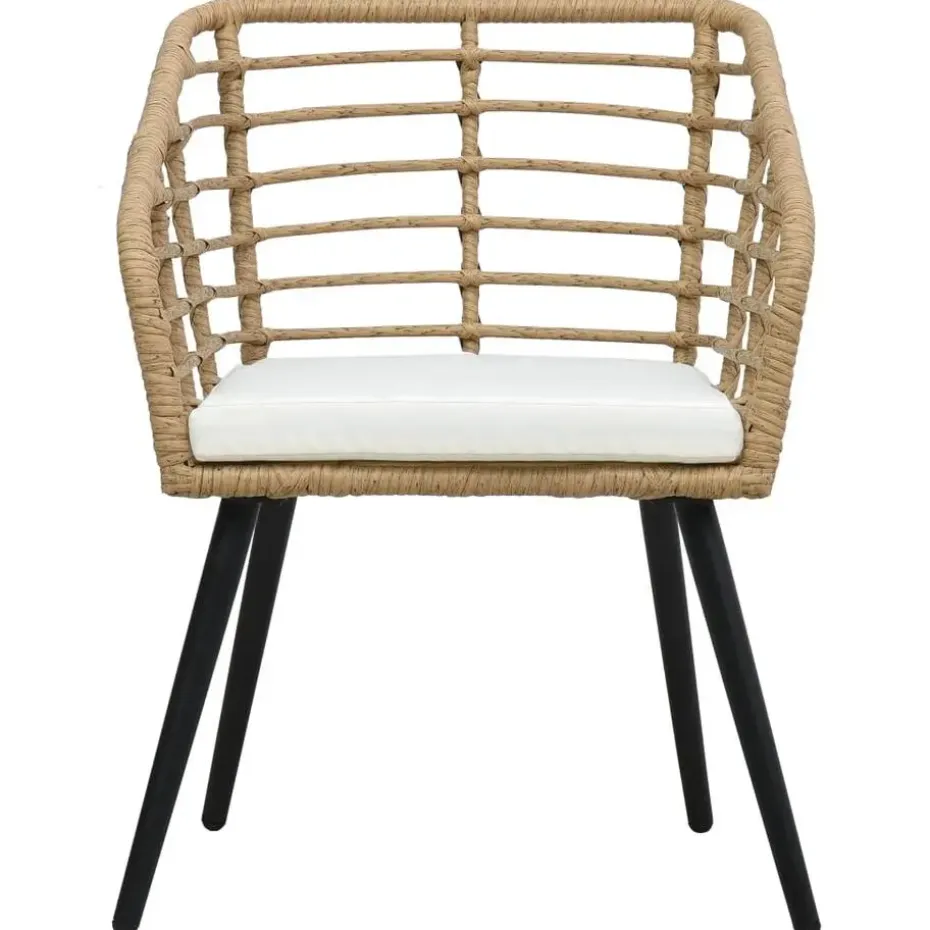 vidaXL - Tuinstoel - Bruin - Poly rattan - 2 stuks