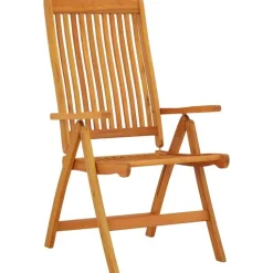 vidaXL - Tuinstoel - Bruin - Eucalyptushout - 2 stuks - Inklapbaar