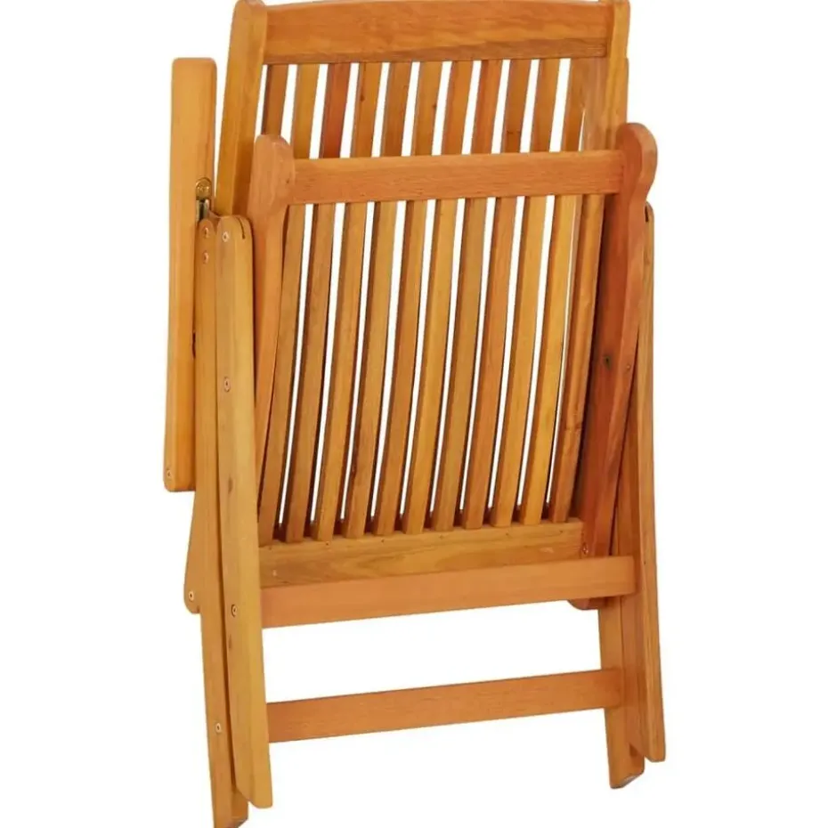 vidaXL - Tuinstoel - Bruin - Eucalyptushout - 2 stuks - Inklapbaar