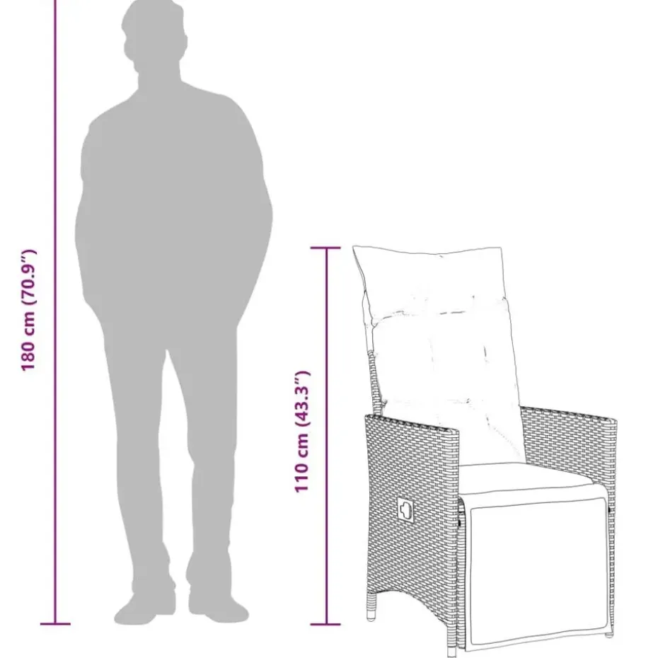 vidaXL - Tuinstoel - Grijs - Poly rattan