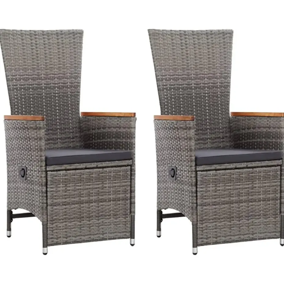 vidaXL - Tuinstoel - Grijs - Poly rattan - 2 stuks
