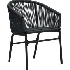 vidaXL - Tuinstoel - Zwart - Polyetheen - 2 stuks