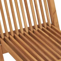 vidaXL - Tuinstoelen - Bruin - Hout - 2 stuks - Inklapbaar