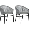 vidaXL - Tuinstoelen - Grijs - Polyetheen - 2 stuks