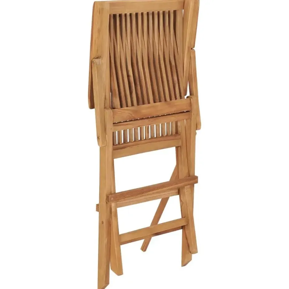 vidaXL - Tuinstoelen - Inklapbaar - Massief teakhout - 2 stuks