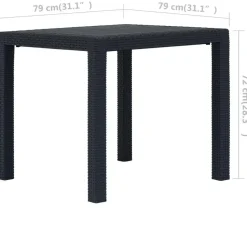 vidaXL - Tuintafel - Antraciet - Kunststof - 79 x 79 x 72 cm