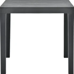 vidaXL - Tuintafel - Antraciet - Kunststof