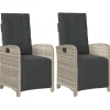 vidaXL - Verstelbare tuinstoelen en voetensteun - Grijs - Poly rattan - 2 stuks