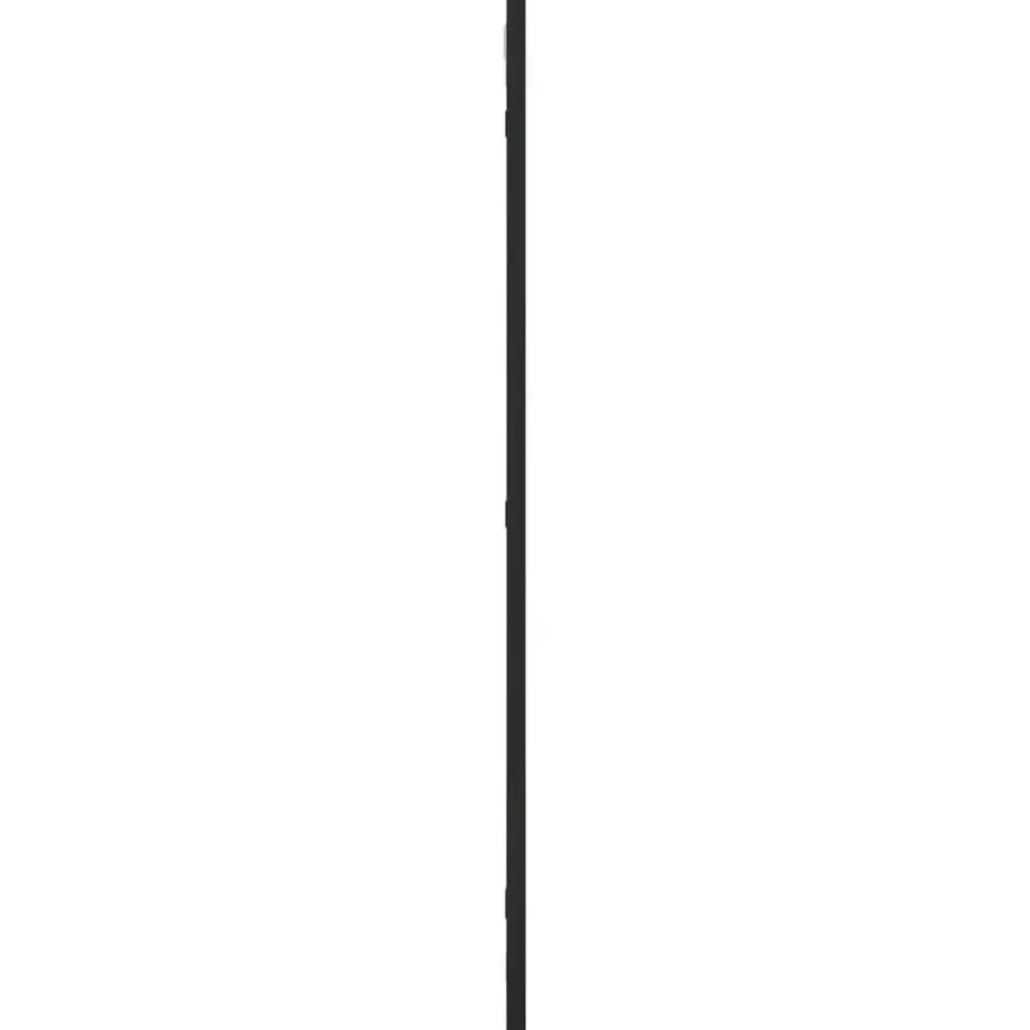 vidaXL - Wandspiegel - Zwart - IJzer - 40 x 80 cm