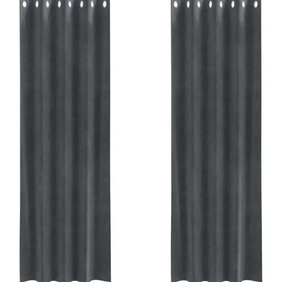 vidaXL Gordijnen met ringen - Lichtgrijs - 140x225 cm - Fluweel - 2 Stuks