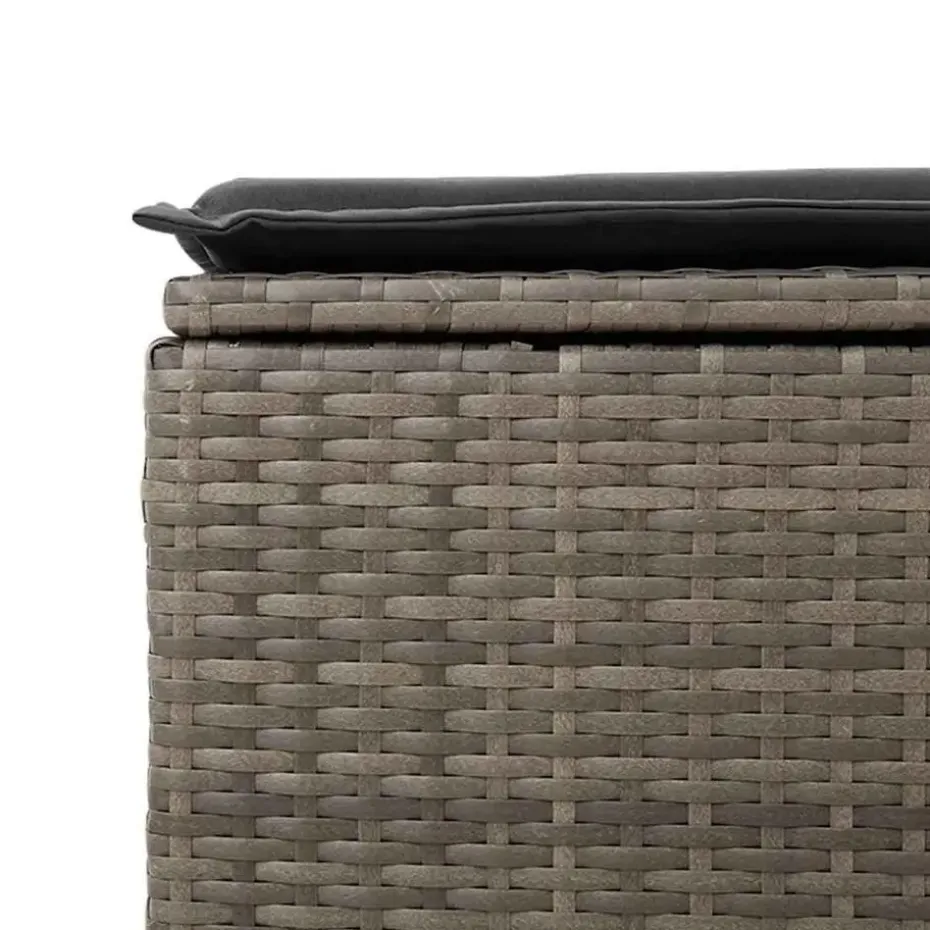 vidaXL Loungebank 2 zits met kussens poly rattan - Grijs krukken 110x55x37 cm