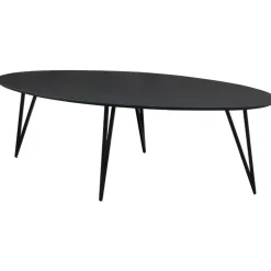 Zwart ovale eettafel Cesar 230x100 cm - Mangohout - Zwart